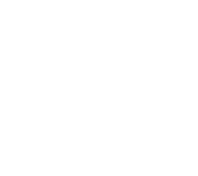 Logo LID blanco