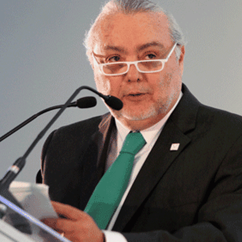 Julio C. Villarreal G.